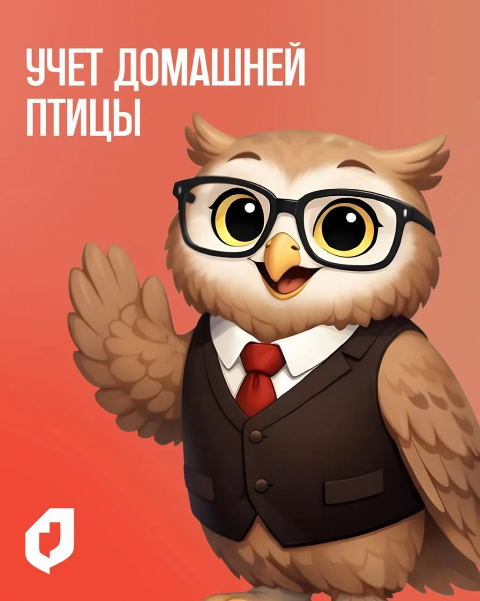 В МФЦ кур НЕ регистрируют: кто и как ставит домашнюю птицу на учёт с 1 сентября 2026 года 