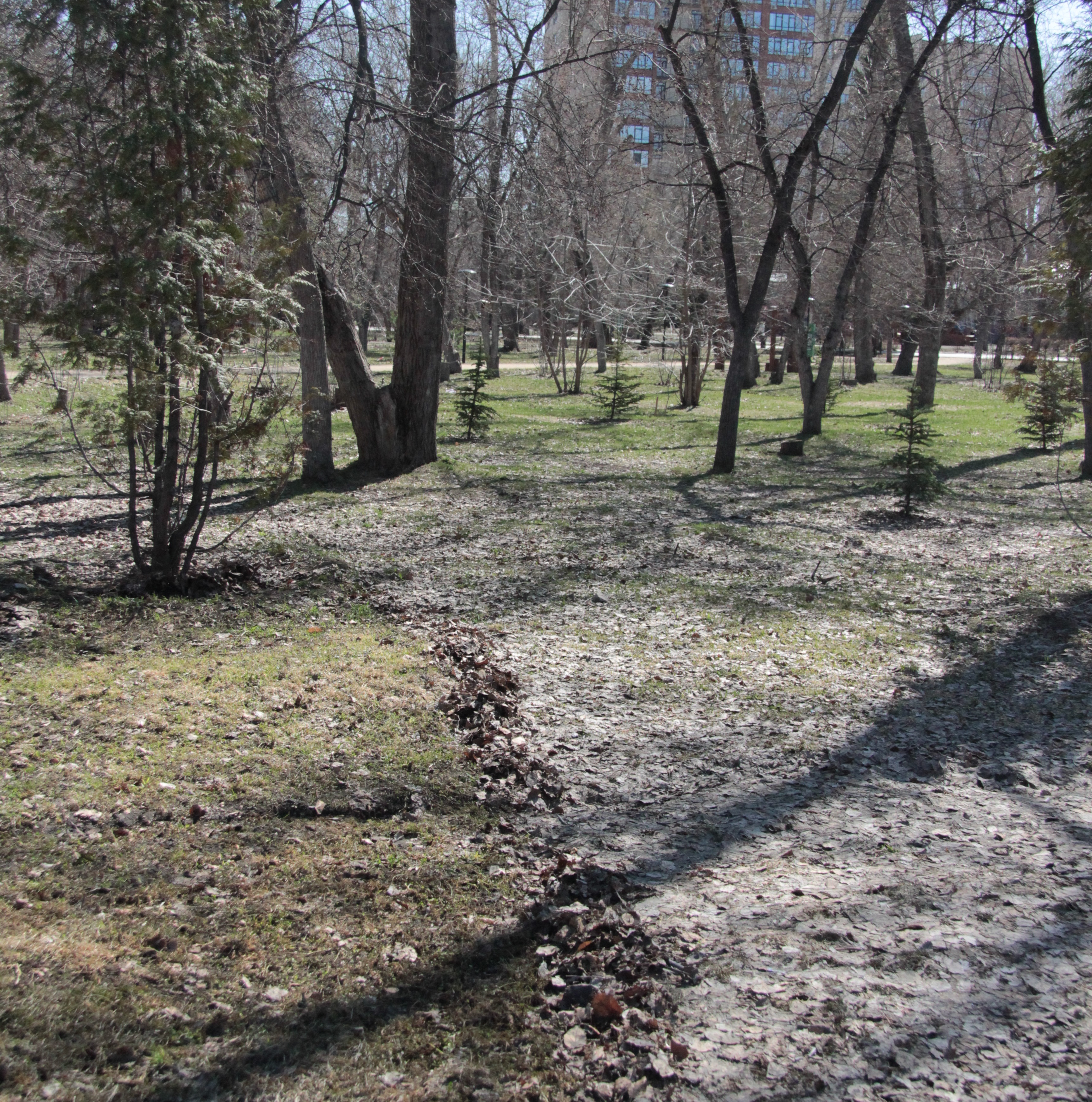 Субботник с хвостатой проверкой